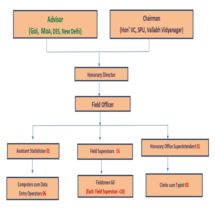 Organization Structure – Sardar Patel University