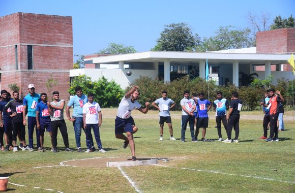 DSC_0217 DSC_0217